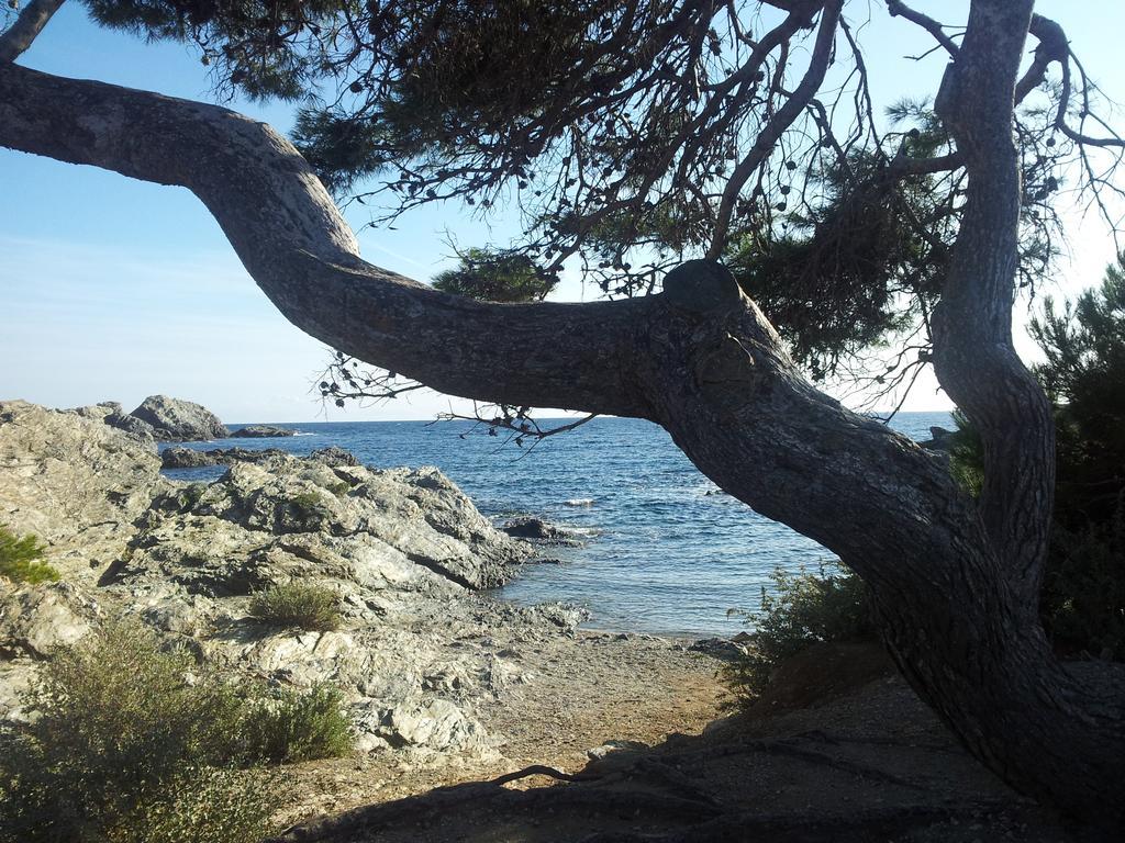 La Petite Maison De Melanie 30M Mer Six-Fours-les-Plages Eksteriør bilde