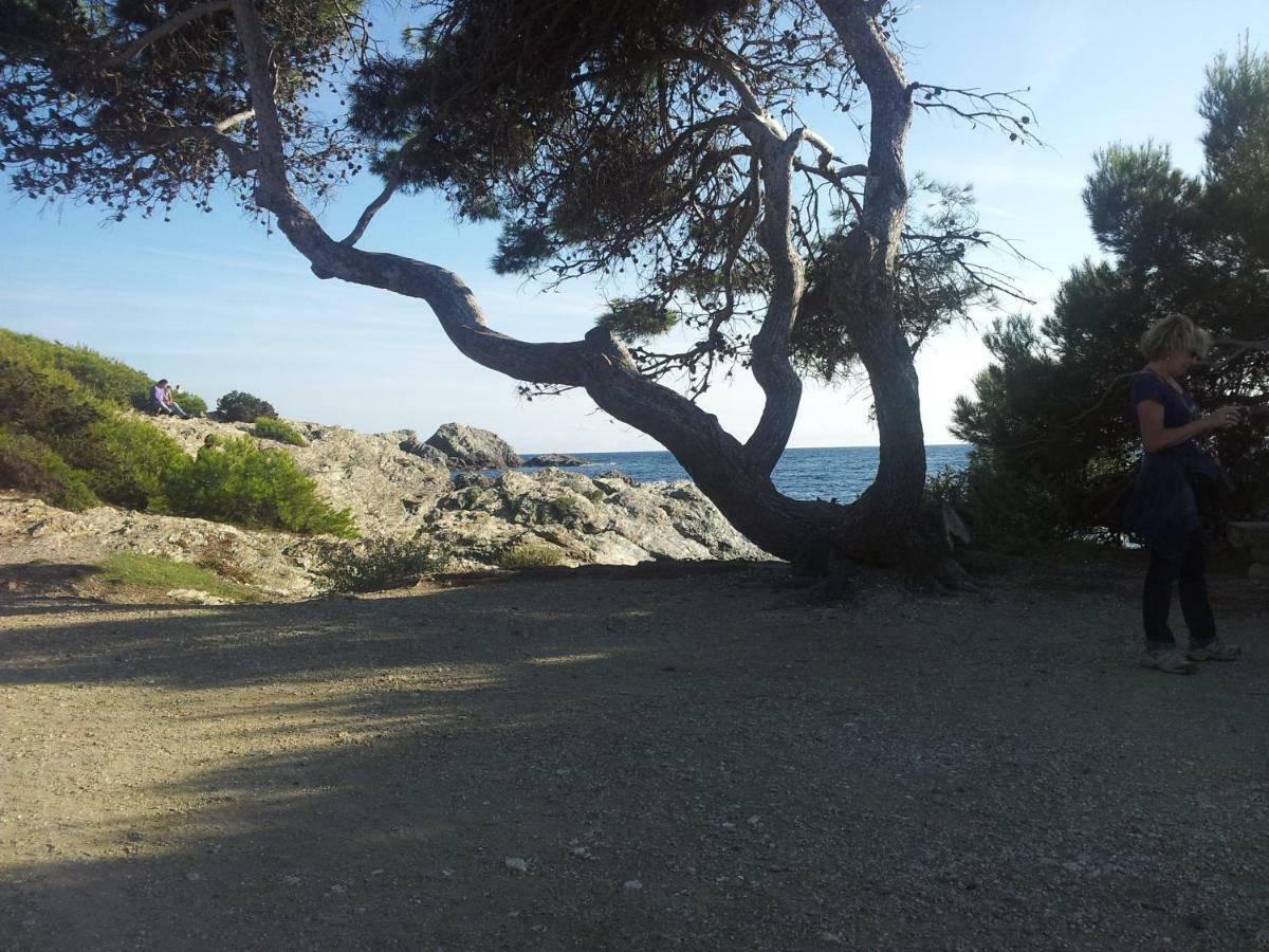 La Petite Maison De Melanie 30M Mer Six-Fours-les-Plages Eksteriør bilde